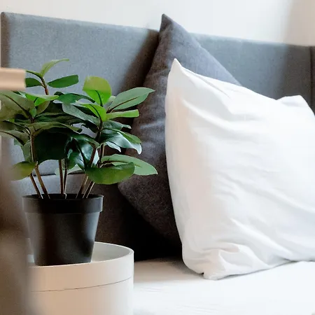 Cozy 3-zimmer In Bestlage! Zentral, Balkon & Parking *