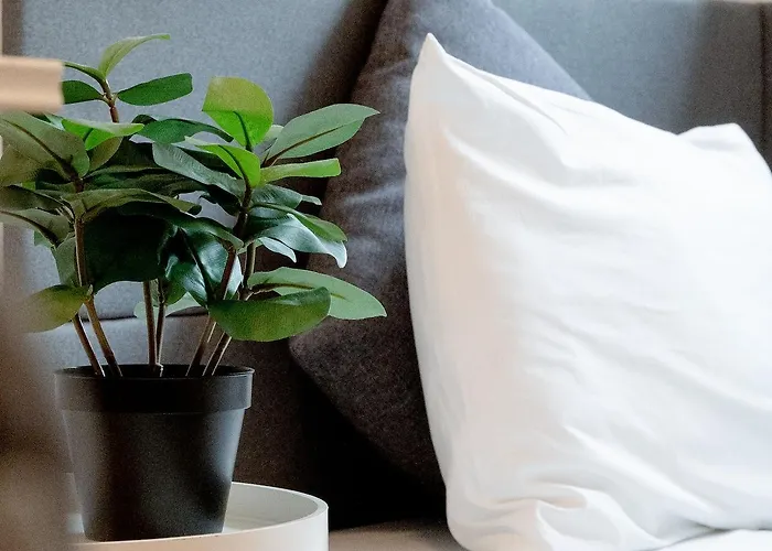 Cozy 3-zimmer In Bestlage! Zentral, Balkon & Parking *